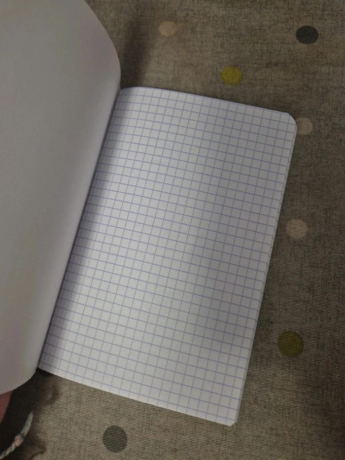 Petit carnet - photo numéro 3