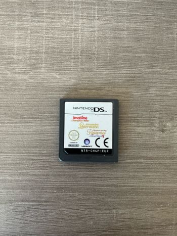 Jeu Ds Champion imagine Rider