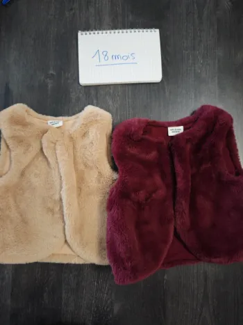 Lot 2 vestes sans manches fourrures toutes douces