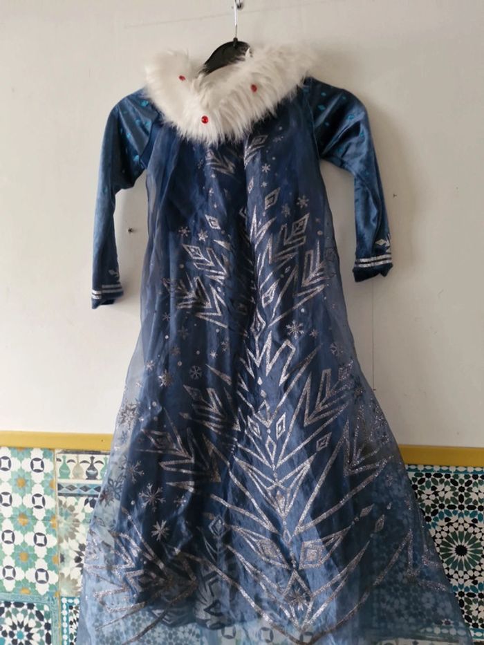 Déguisement elsa reine des neige - photo numéro 5