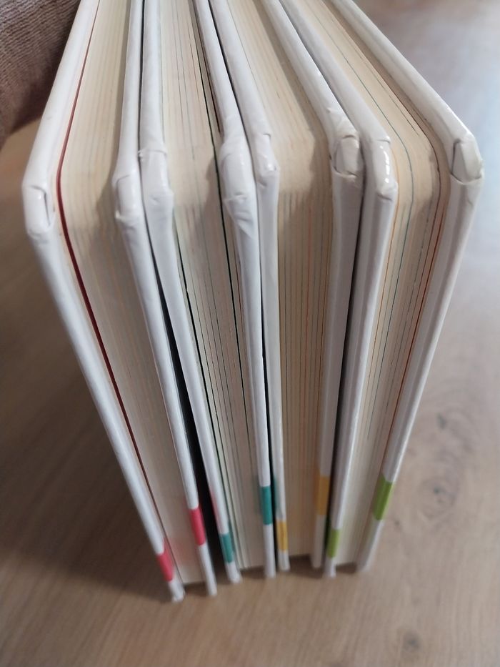 Lot livres Ptit Loup - photo numéro 7