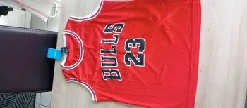 Ensemble basket Bulls