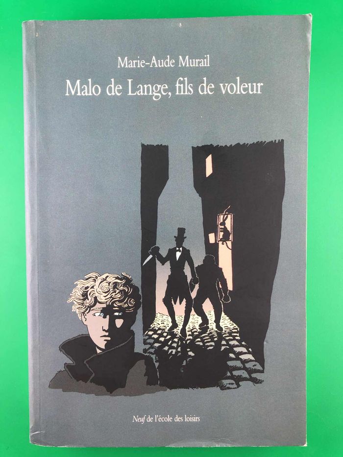 Malo de Lange, fils de voleur - Marie-Aude Murail
