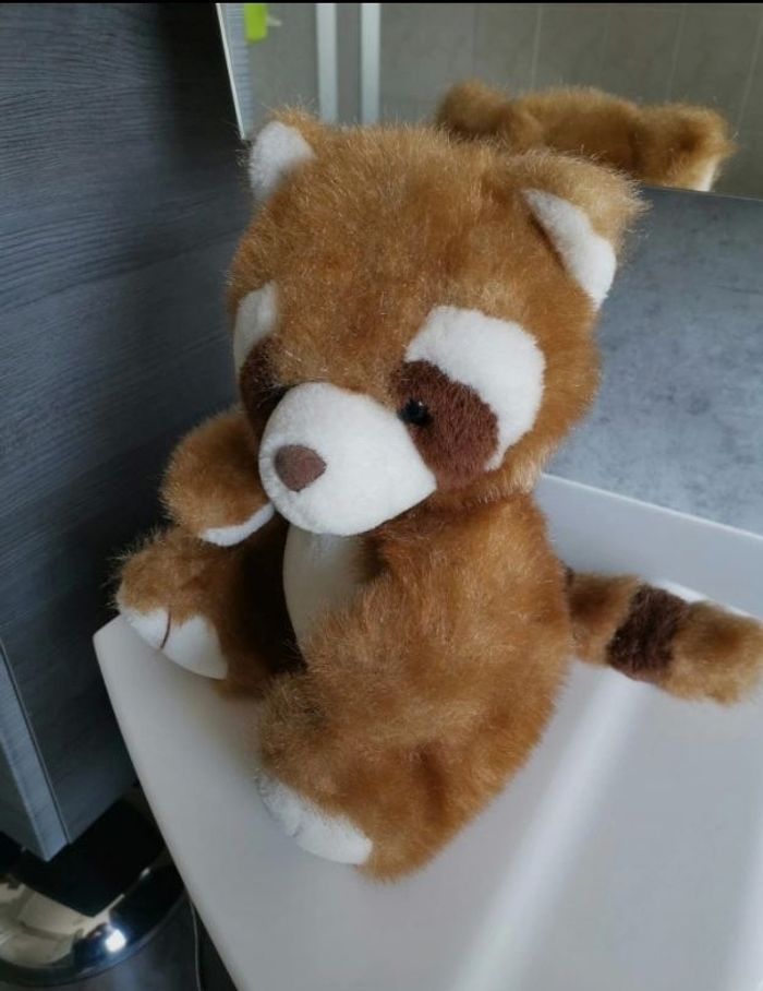 Jolie peluche raton laveur - photo numéro 2