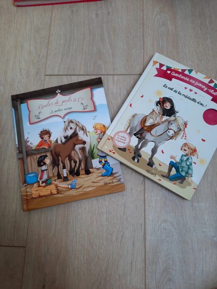 Lot de livres poney et chevaux