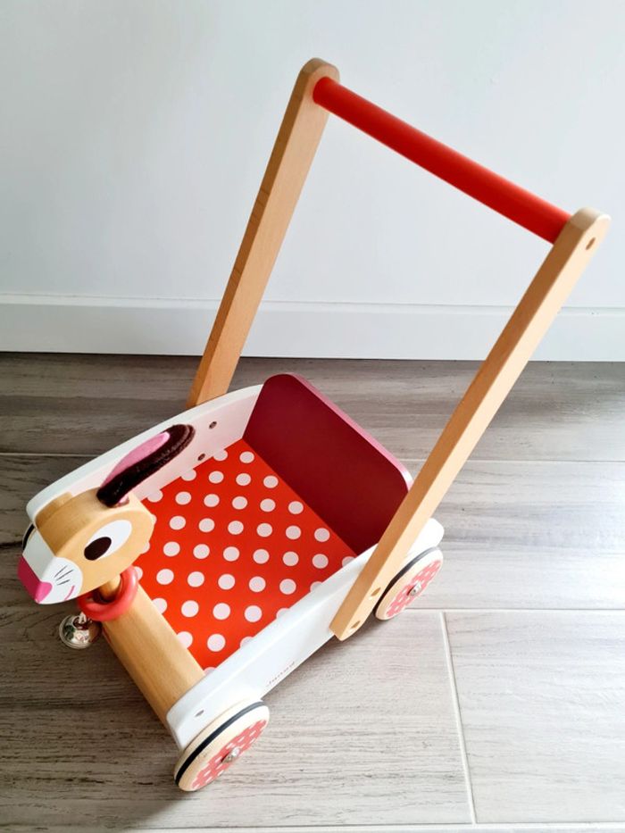 Chariot de Marche Janod - photo numéro 2