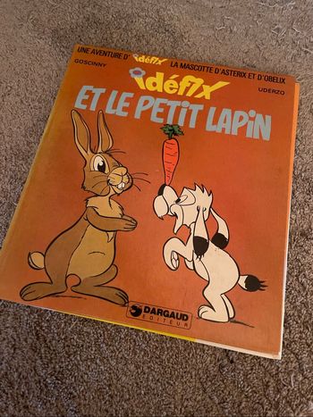 Livre - Idefix et le petit lapin