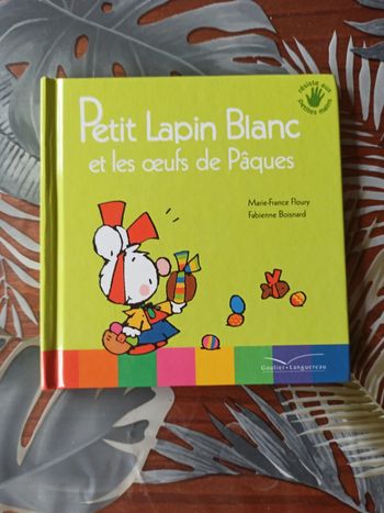 Livre petit lapin blanc et les oeufs de pâques