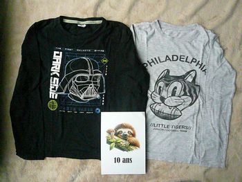 Lot de 2 tee-shirts garçon 10 ans (n°32)