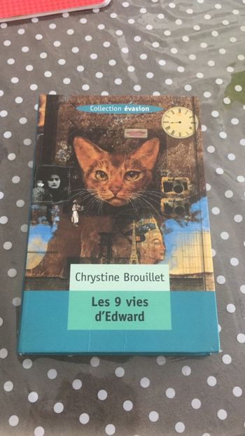 Les 9 vues d’Edward