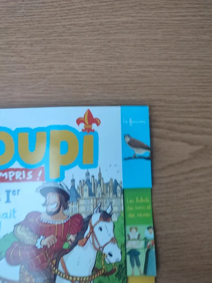 Livre youpi François 1er - photo numéro 4