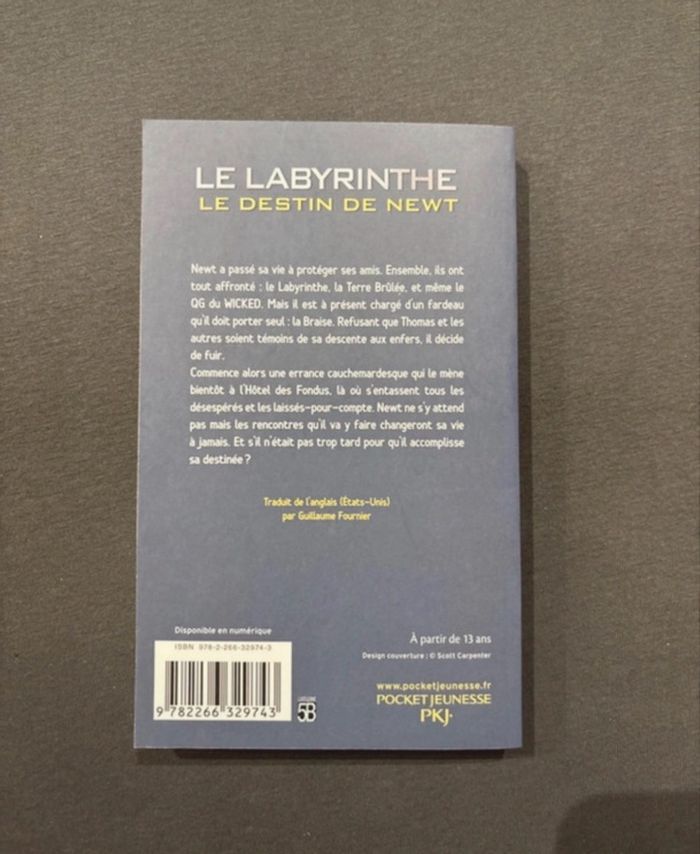 Livres  Le  Labyrinthe - photo numéro 9