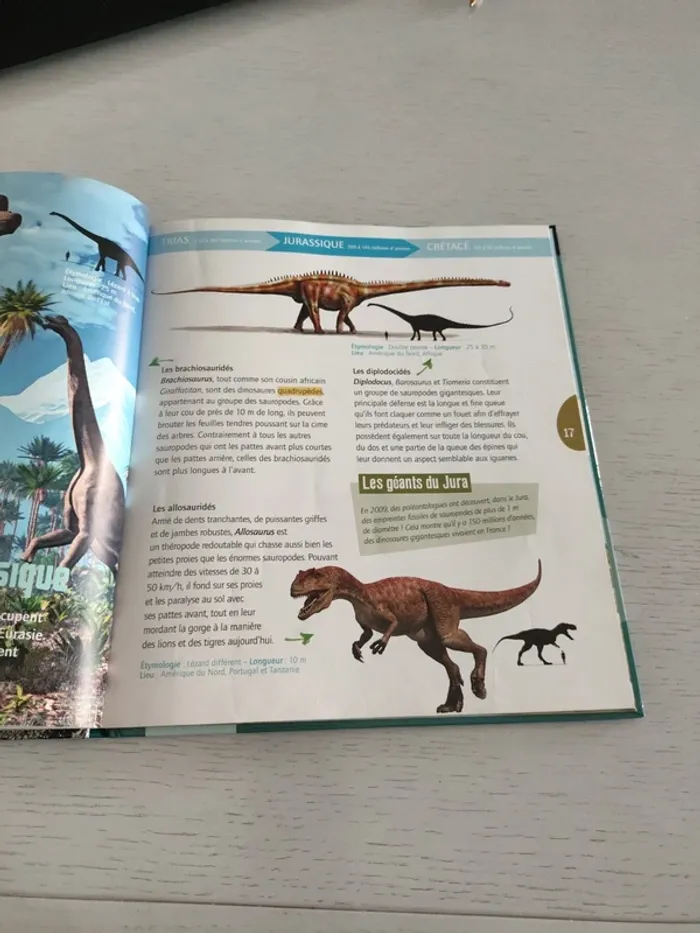 livre "Les Dinosaures" avec DVD - photo numéro 7