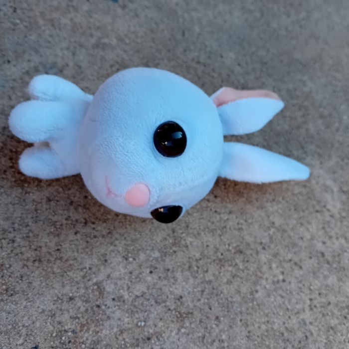 Peluches - photo numéro 7