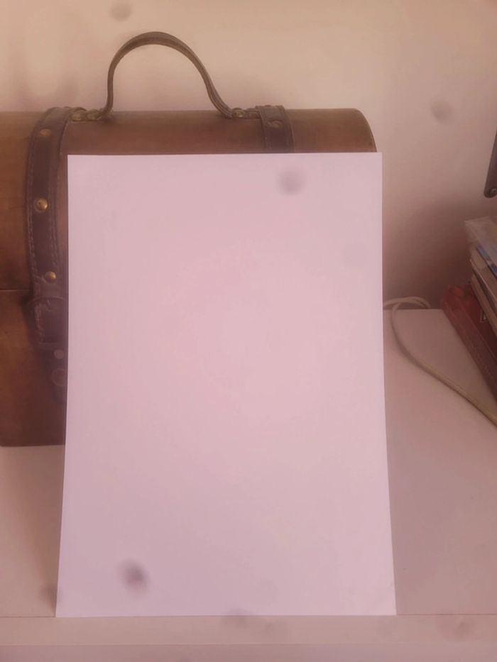 Ex-libris Ex Libri manga Love Mission 20 ans Pika Editions - photo numéro 2