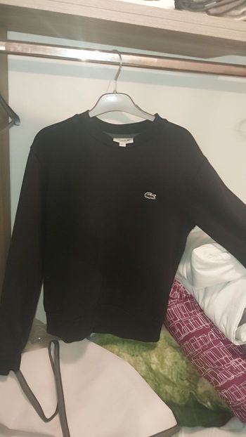 Pull Lacoste