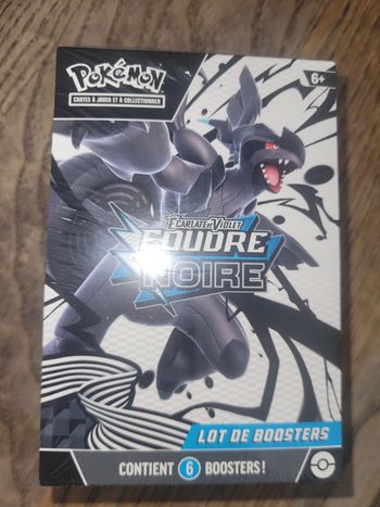 Bundle ev10.5 foudre noire
