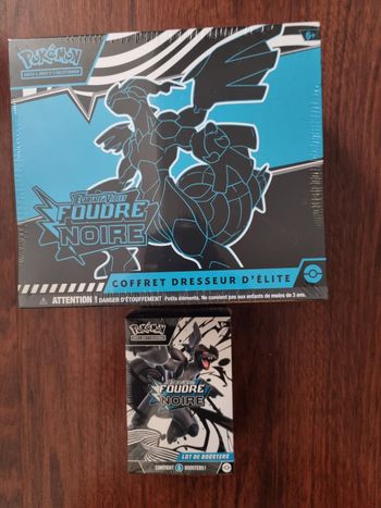 Etb+bundle pokemon foudre noire ev10.5