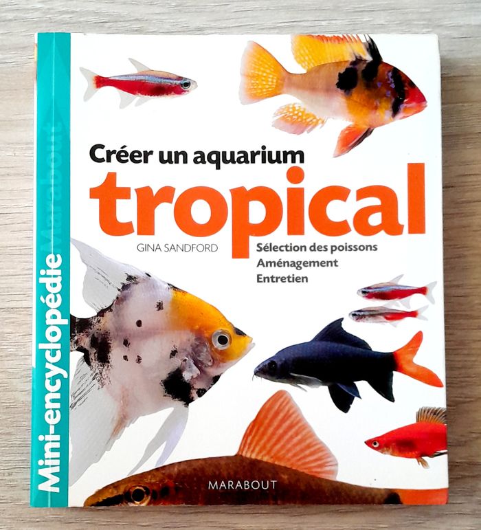 créer un aquarium tropical