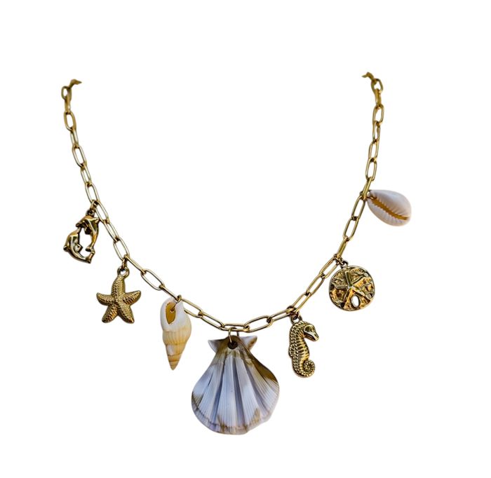 Collier coquillage hypocanpe ✅