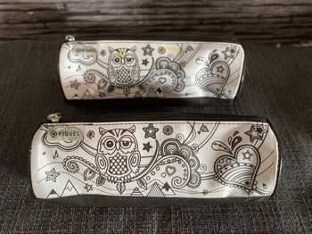 Lot de 2 trousses chouette Viquel