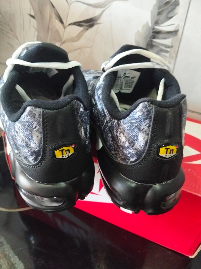 Basket tn - photo numéro 4