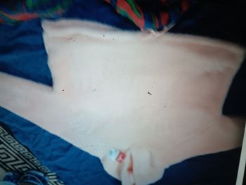 Pull saumon neuf 4244