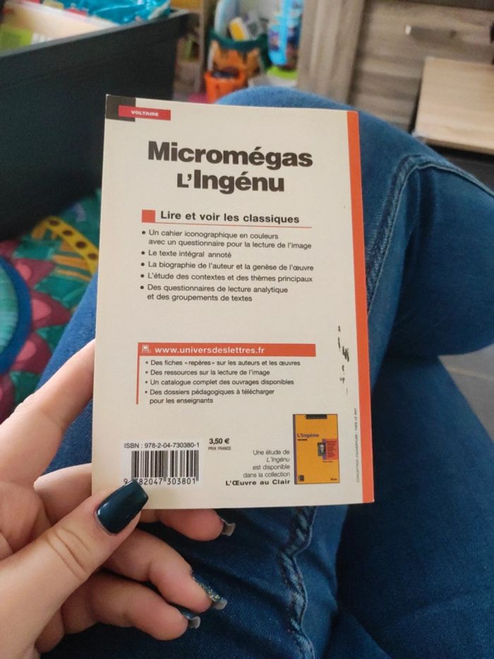 Micromégas L'ingénu - photo numéro 2