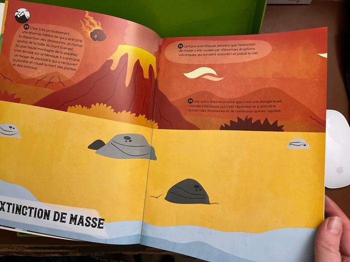 Lot 1 magazine et coffret Dinosaures - photo numéro 3