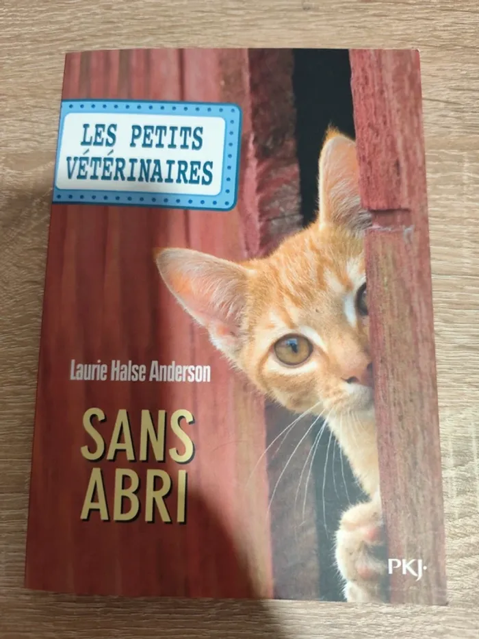 Sans abri