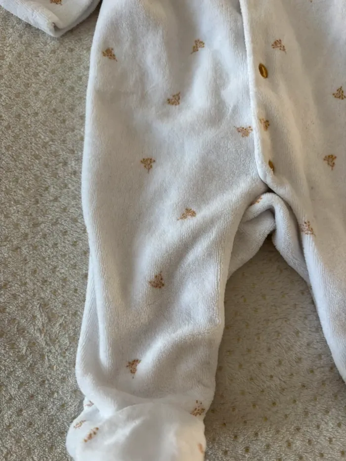 Pyjama cyrillus - photo numéro 2