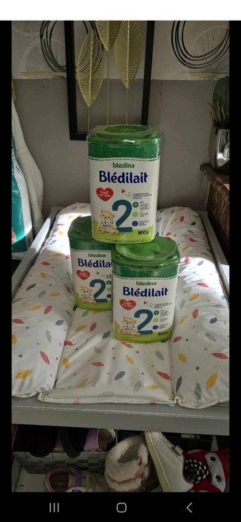 Bledilait 2 ème age