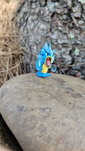 Super figurine Pokemon Nintendo tomy C.G.T.S.J Leviator
