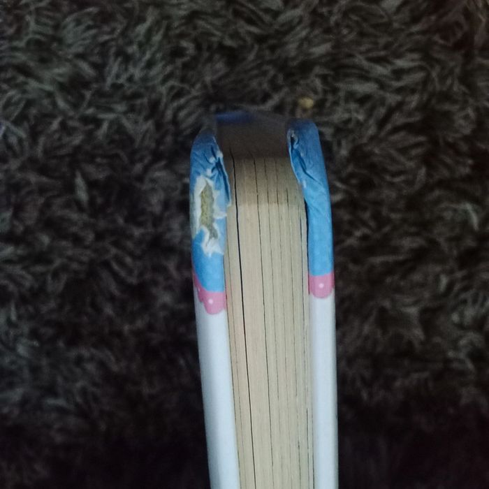 Livre bébé enfant - Mon petit bébé chat - photo numéro 5