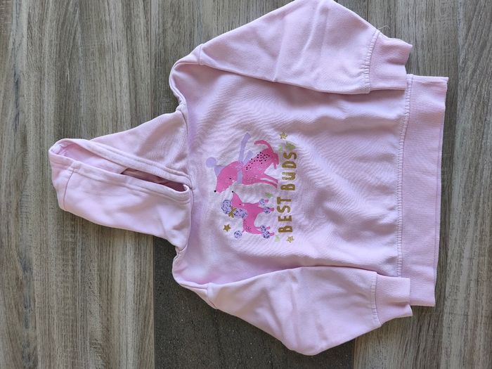 Sweat shirt à capuche