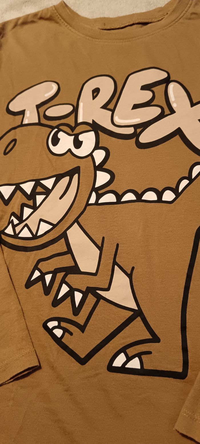 Haut dinosaure 8.10 ans - photo numéro 2