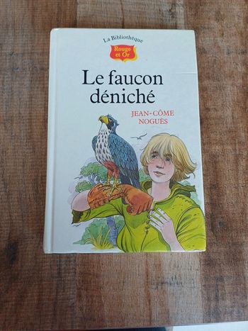 Livre Le faucon déniché de Jean-Côme Noguès