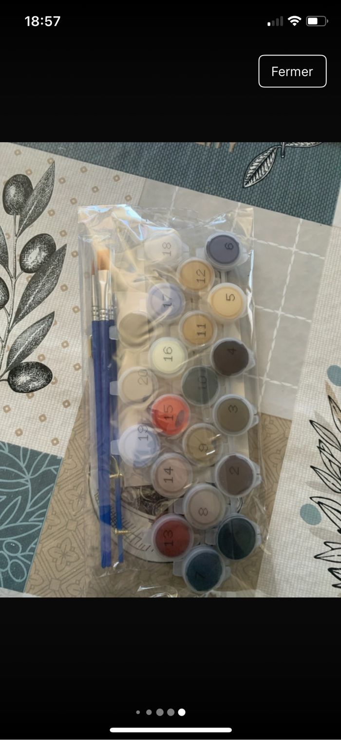 Kit complet de peinture par numéro - Neuf - photo numéro 5