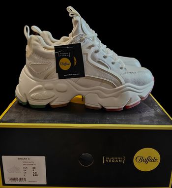 Buffalo rainbow lgbt