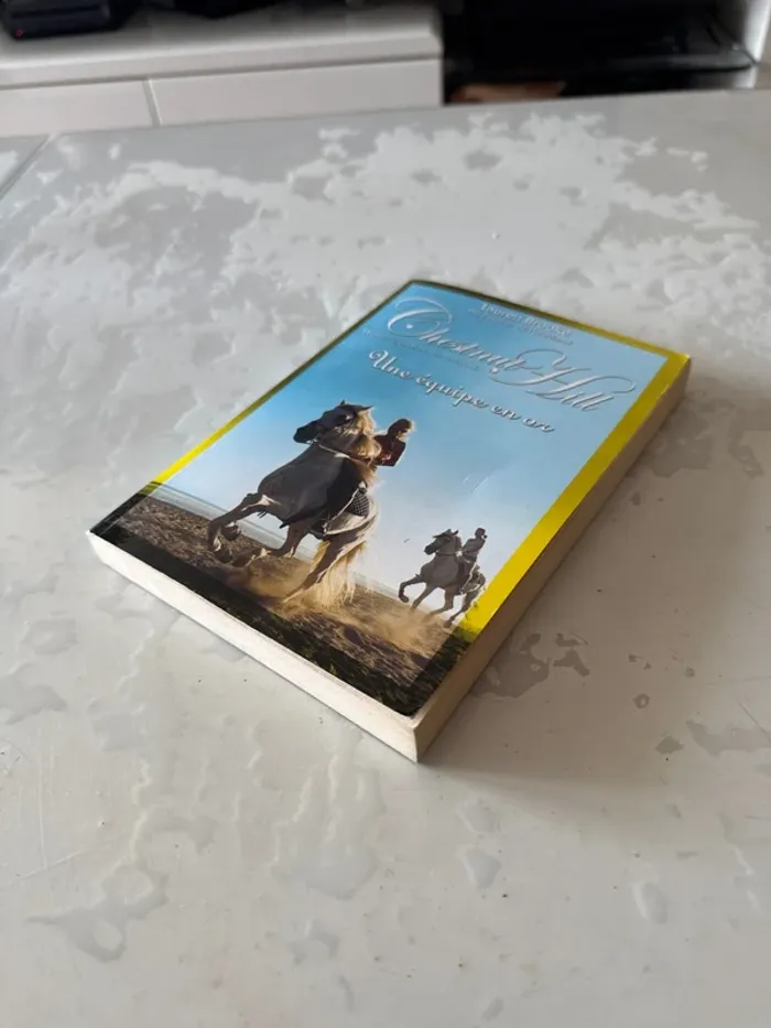 📚 Lot complet – Chestnut Hill – Tomes 1 à 9 – Lauren Brooke - photo numéro 19