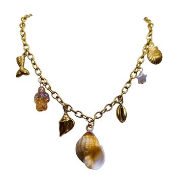Collier coquillage ✅