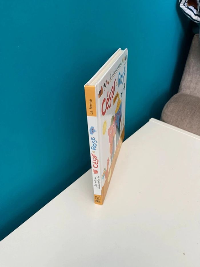 Livre les petites découvertes de César et rose la ferme - photo numéro 3