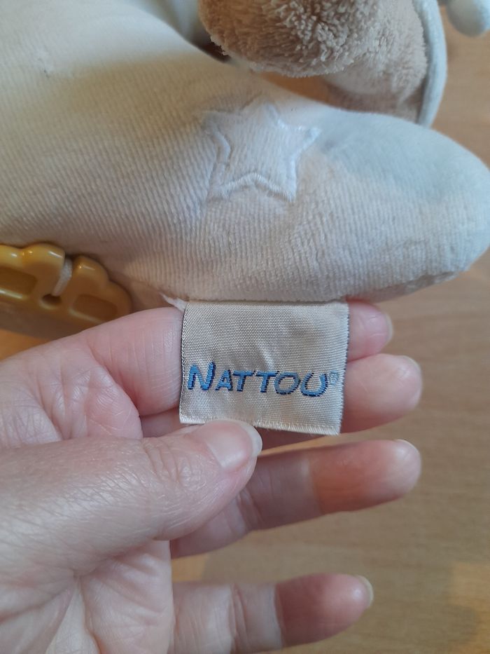 Lune musicale - photo numéro 3