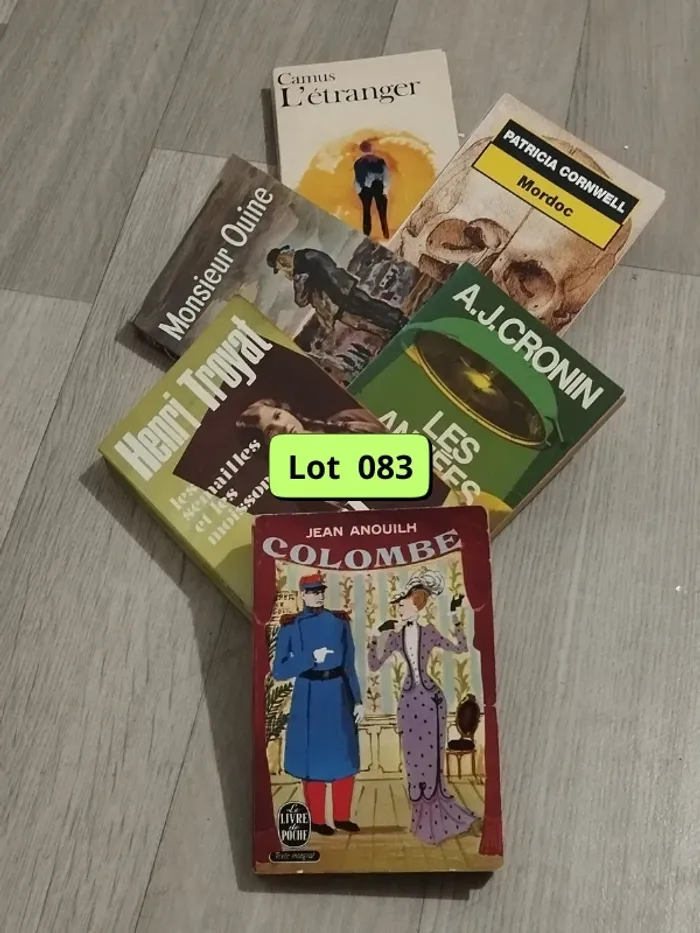 Lot de 6 livres romans et textes intégraux des années 50-60 et 70 L083