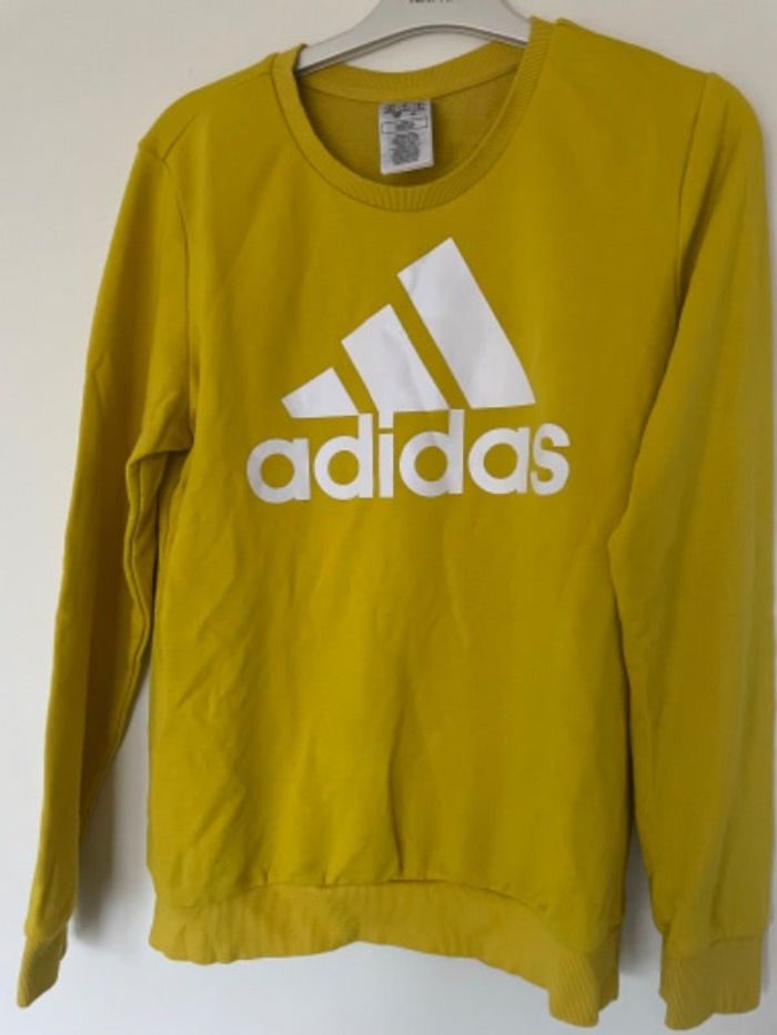 Pull /sweat femme