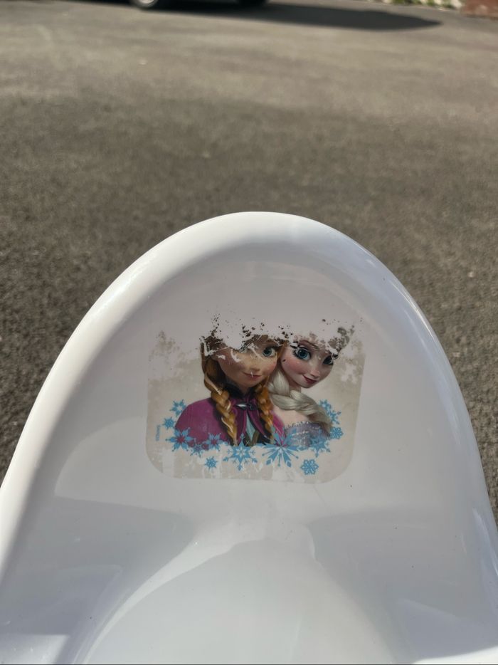 Pot reine des neiges - photo numéro 2