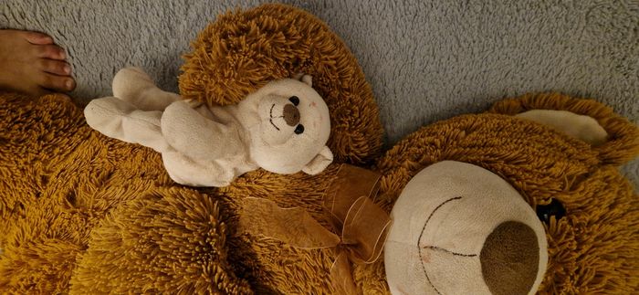 Grand Ours peluche - photo numéro 3