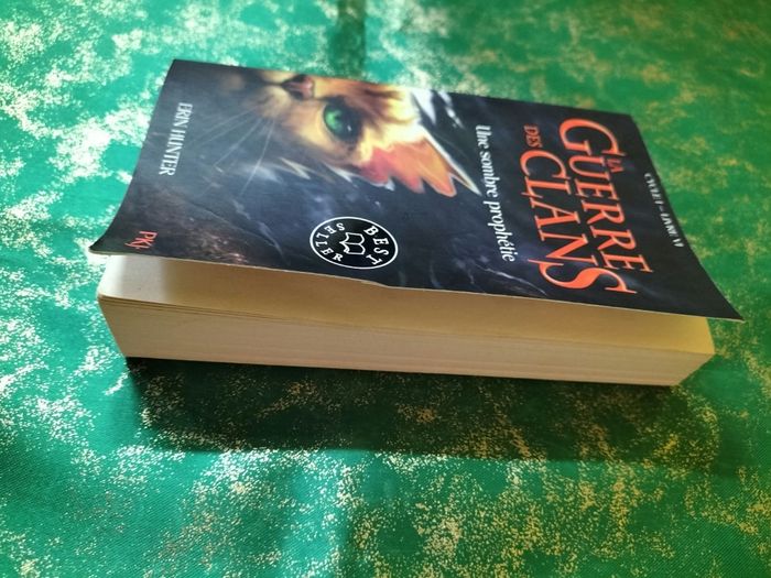 La guerre des clans - photo numéro 3