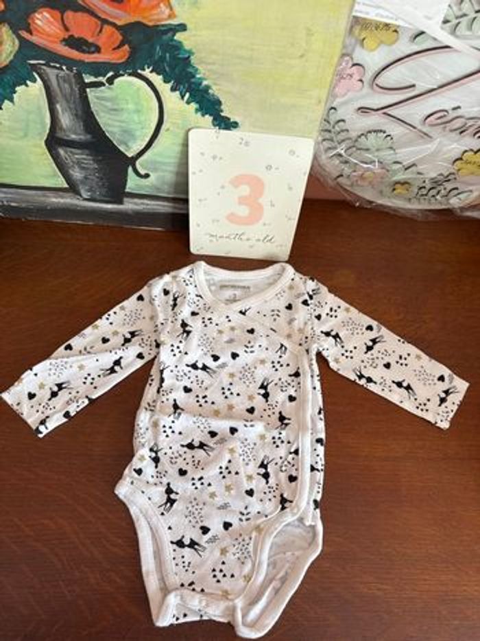 Lot 21 vêtements bébé 3 mois - photo numéro 3