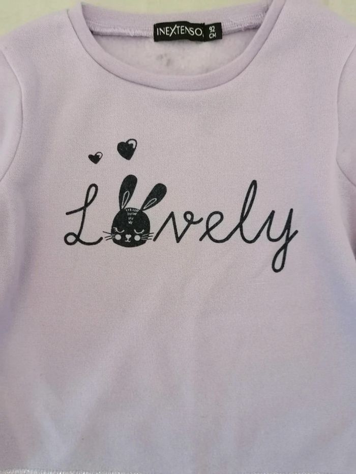 Sweat molletonné taille 24 mois - photo numéro 2